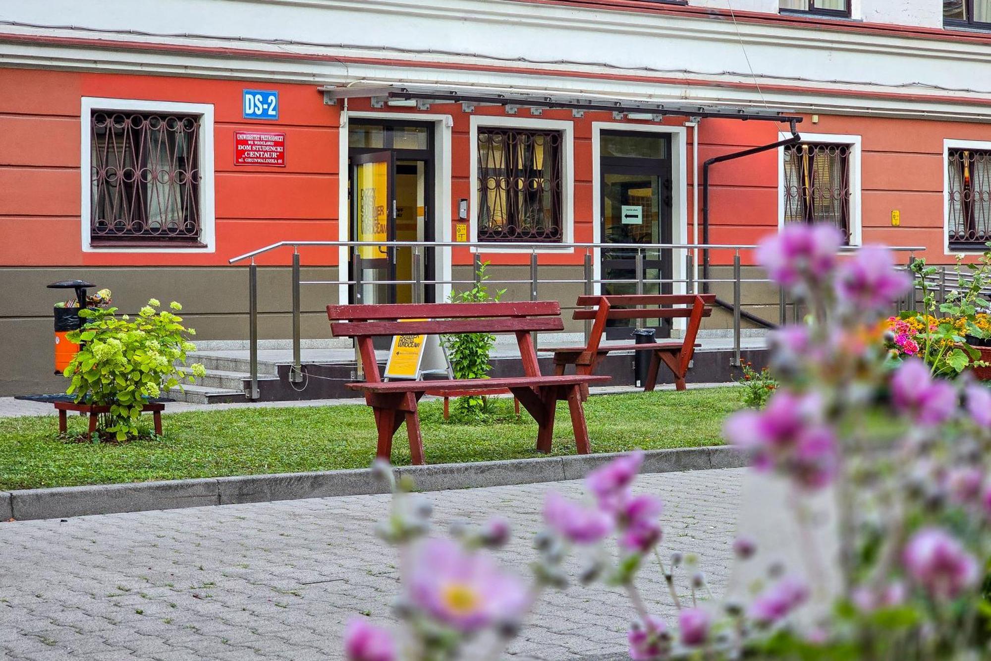 Dizzy Daisy Hostel - Wroclaw — Fotoğraflar 1